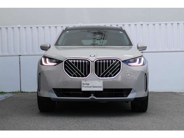 BMW X3 8