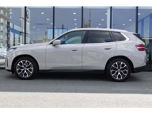 BMW X3 10