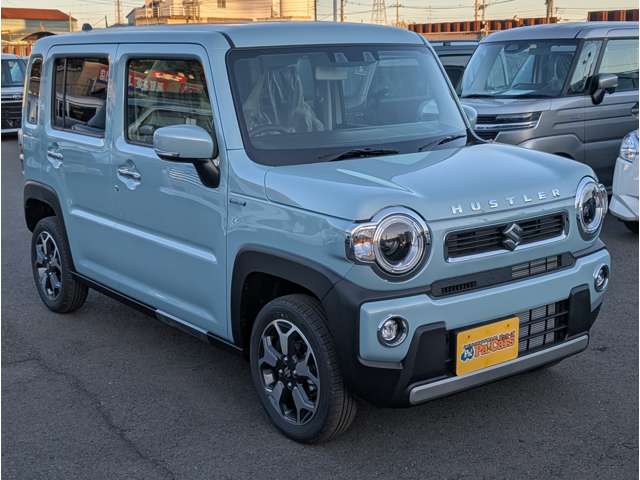 Suzuki Hustler 6