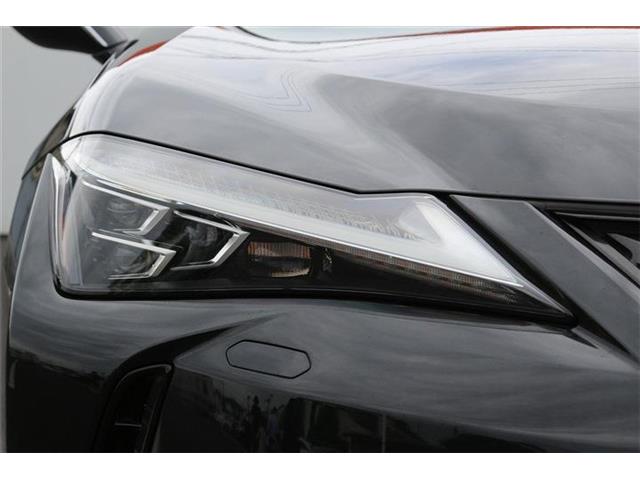 Lexus UX 12