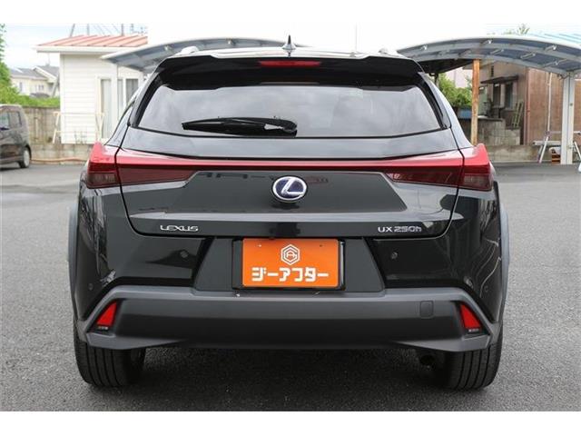 Lexus UX 10