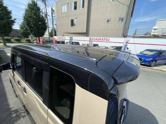 Mitsubishi Delica Mini 11