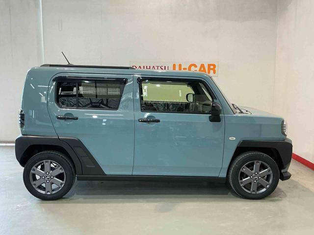 Daihatsu Taft 12