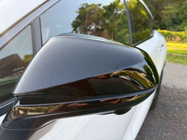 Lexus RX 12