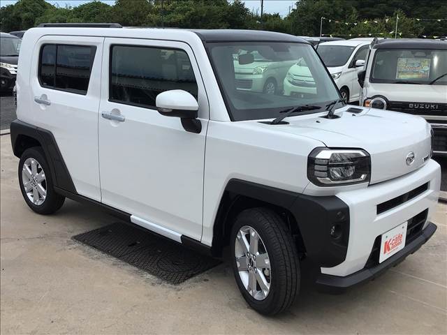 Daihatsu Taft 6