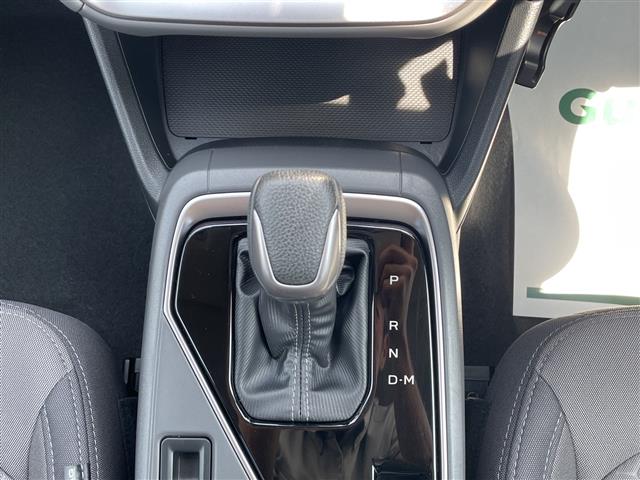 Subaru Crosstrek 10