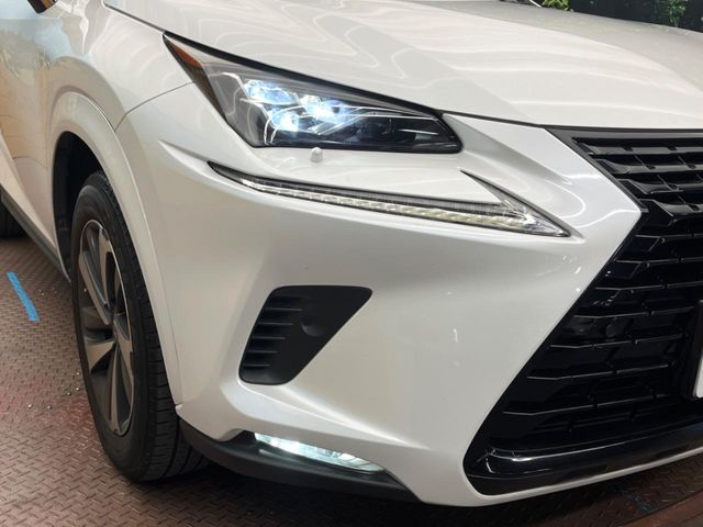 Lexus NX 12