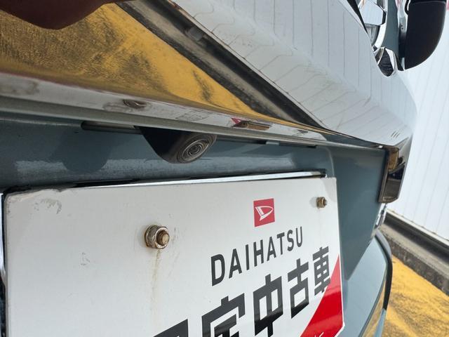 Daihatsu Taft 6