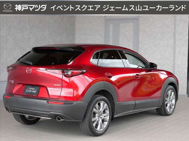Mazda CX-30 6