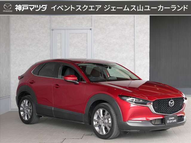 Mazda CX-30 9