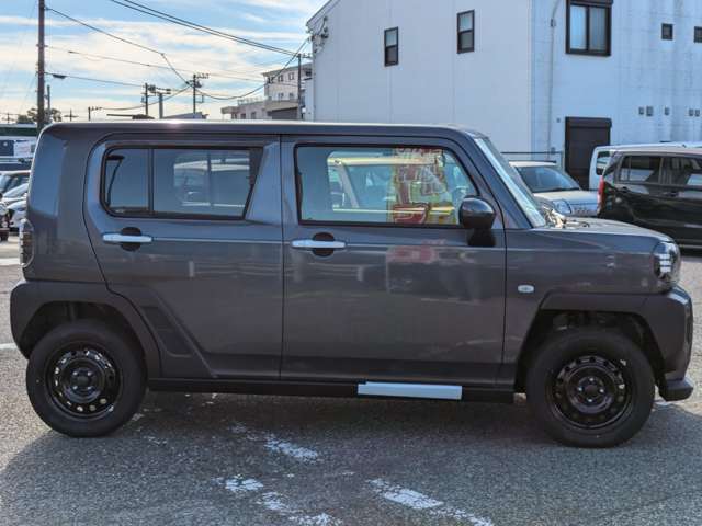 Daihatsu Taft 11