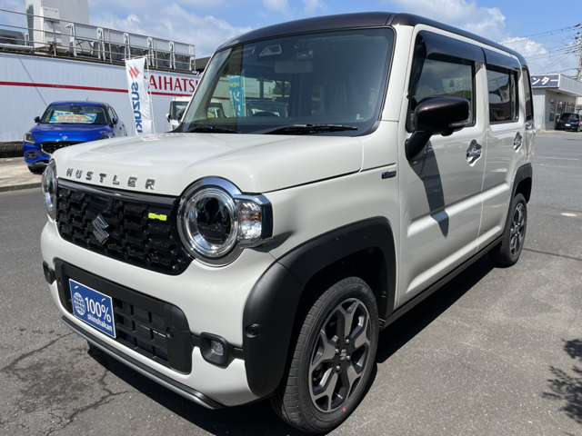 Suzuki Hustler 6