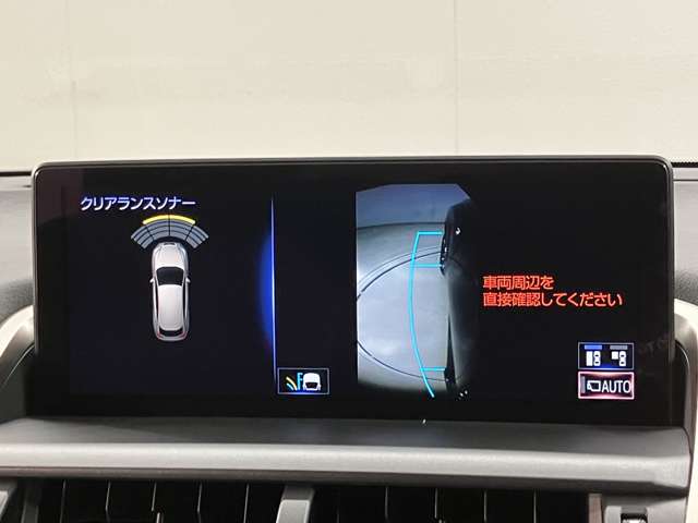 Lexus NX 12