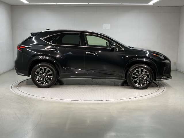 Lexus NX 4