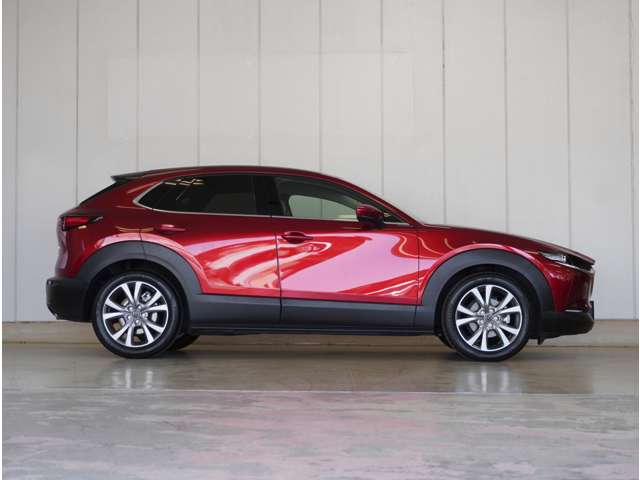 Mazda CX-30 9