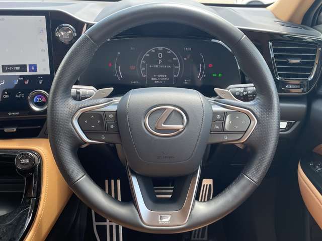 Lexus NX 11