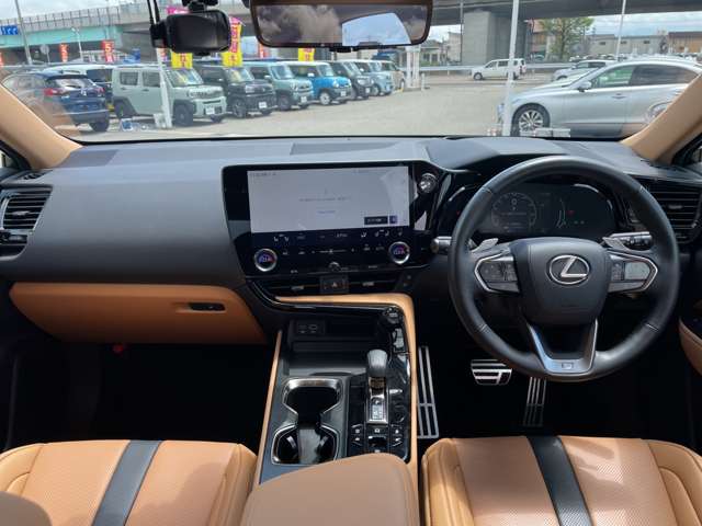 Lexus NX 6