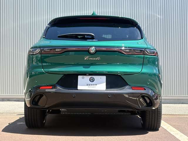 Alfa Romeo トナーレ 6