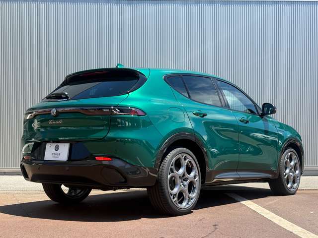 Alfa Romeo トナーレ 7