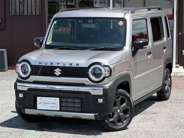 Suzuki Hustler 12