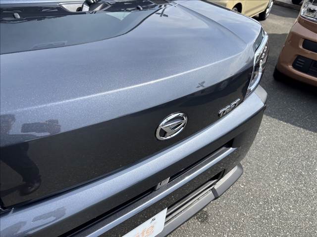 Daihatsu Taft 6