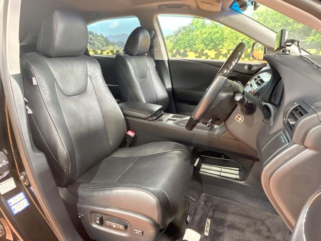Lexus RX Hybrid 8