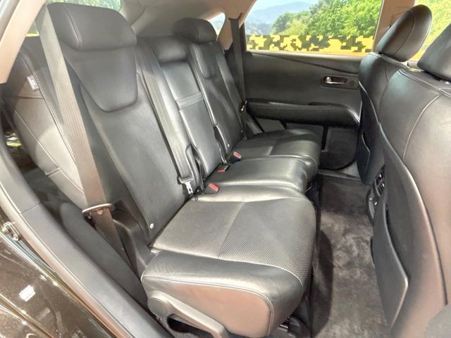 Lexus RX Hybrid 9