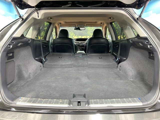 Lexus RX Hybrid 10
