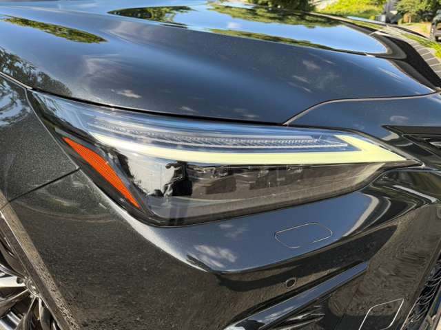 Lexus NX 12