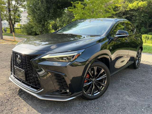Lexus NX 6