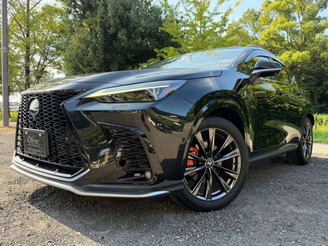 Lexus NX 7