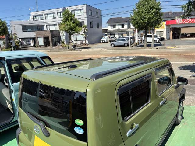 Daihatsu Taft 9