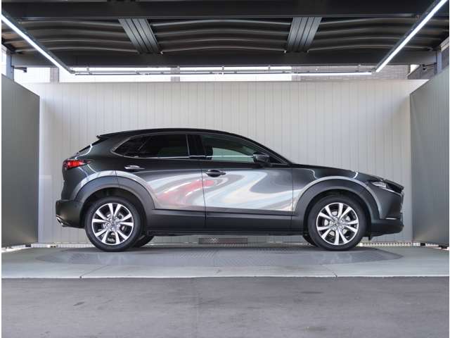 Mazda CX-30 10