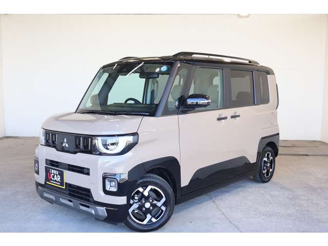 Mitsubishi Delica Mini 3