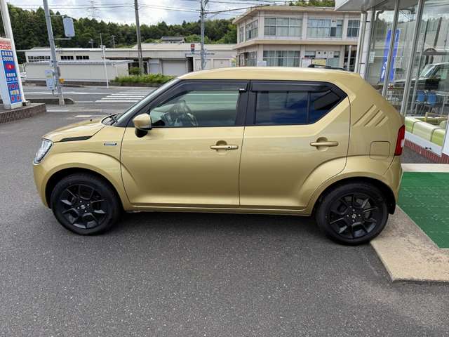 Suzuki Ignis 9
