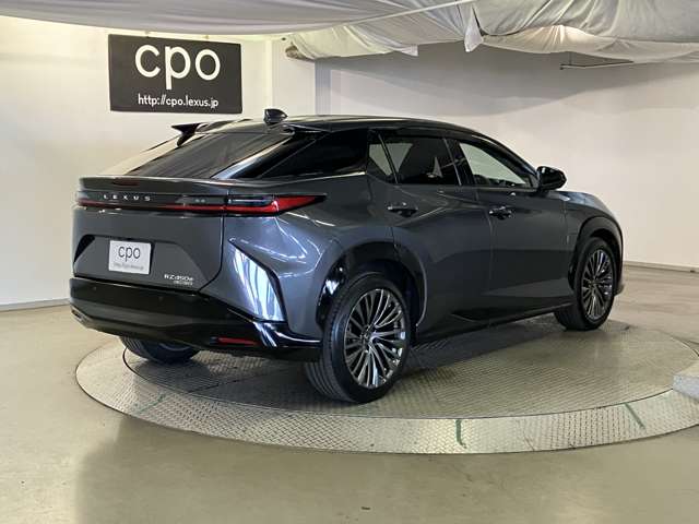 Lexus RZ 10