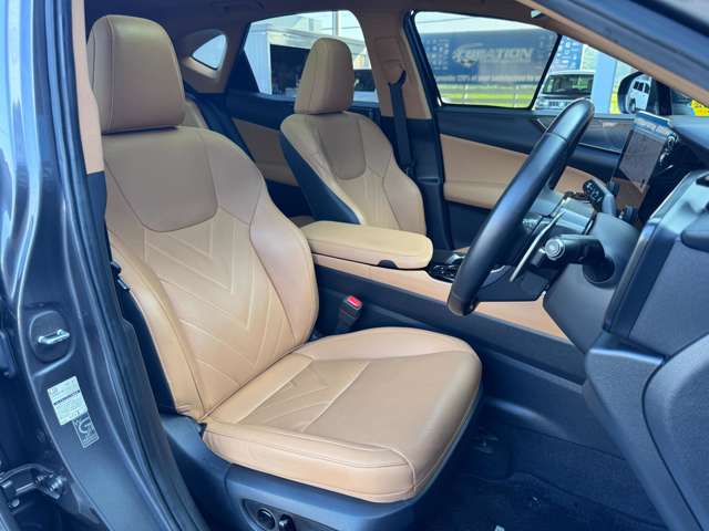 Lexus NX 3