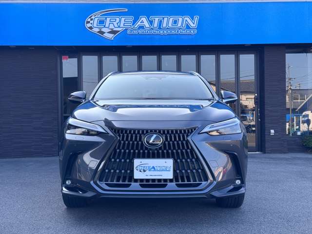 Lexus NX 4