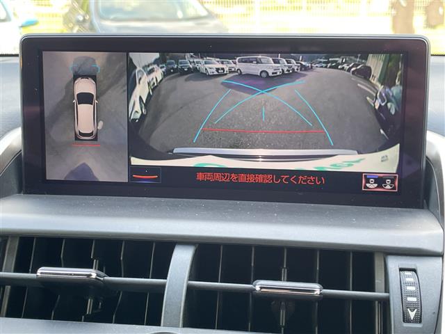 Lexus NX 6