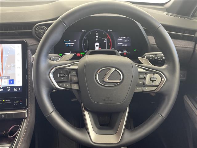 Lexus LBX 12