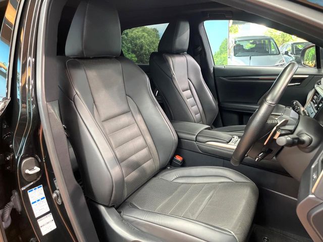 Lexus RX 11