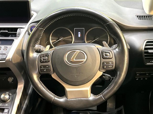 Lexus NX 11