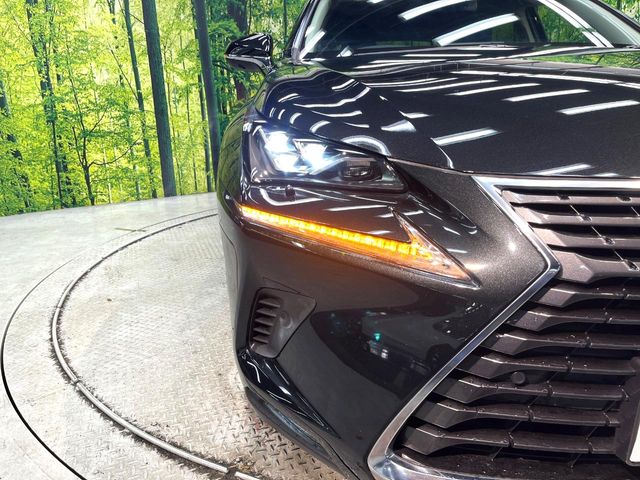 Lexus NX 12