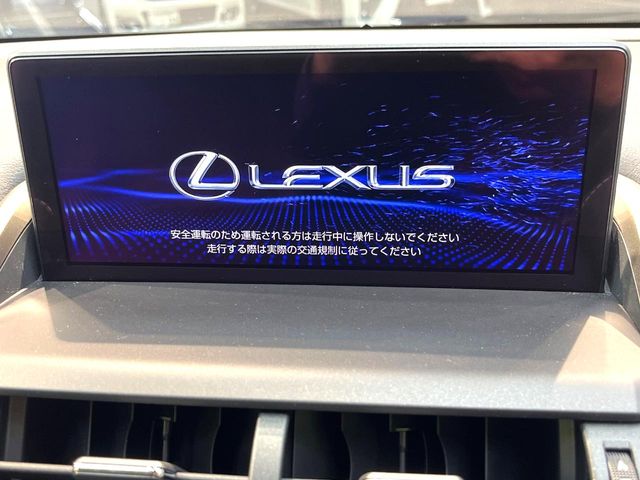 Lexus NX 4