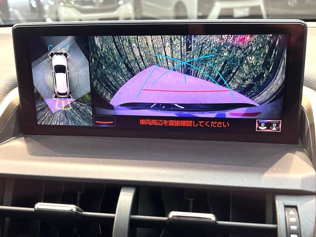 Lexus NX 5