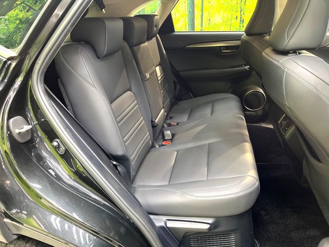 Lexus NX 9