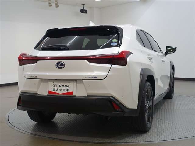 Lexus UX 8