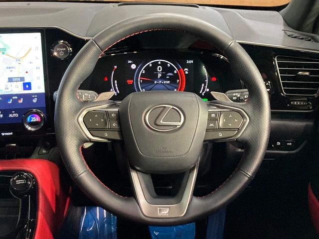 Lexus NX 11