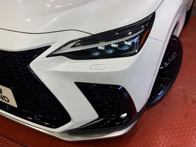 Lexus NX 12