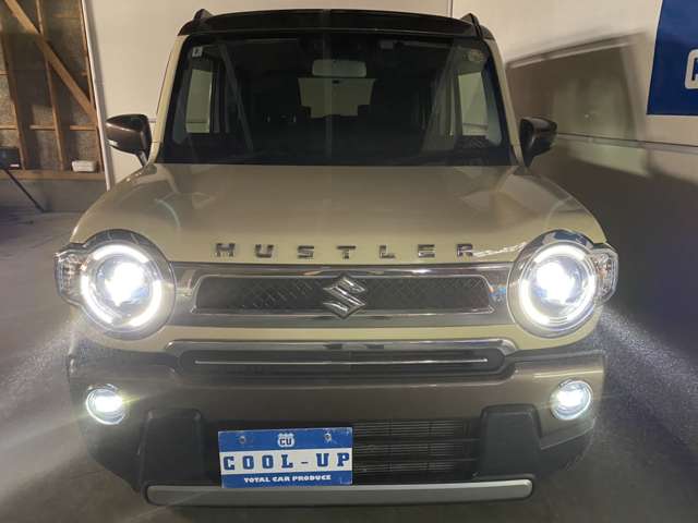 Suzuki Hustler 4